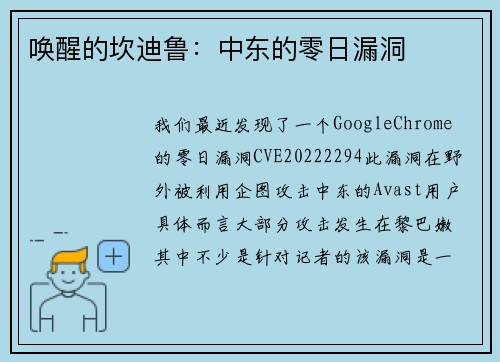 唤醒的坎迪鲁：中东的零日漏洞 
