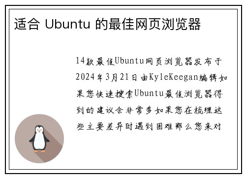 适合 Ubuntu 的最佳网页浏览器 