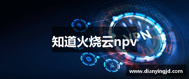 知道火烧云npv
